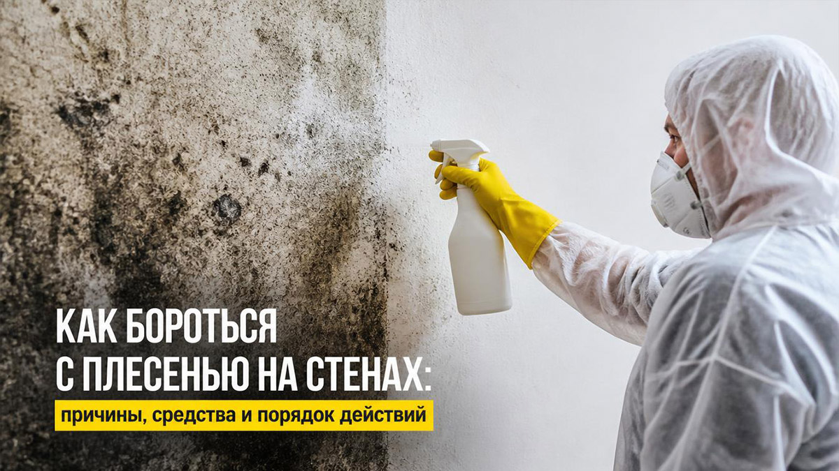 Как бороться с плесенью на стенах: причины, средства и порядок действий